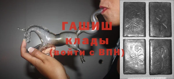 ECSTASY Инсар