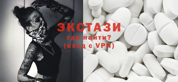 ECSTASY Инсар