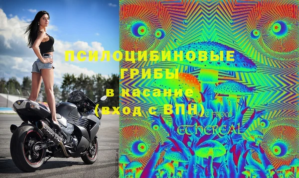 синтетический гашиш Инта