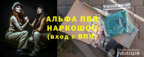 ECSTASY Инсар
