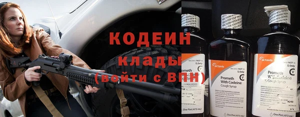 ECSTASY Инсар