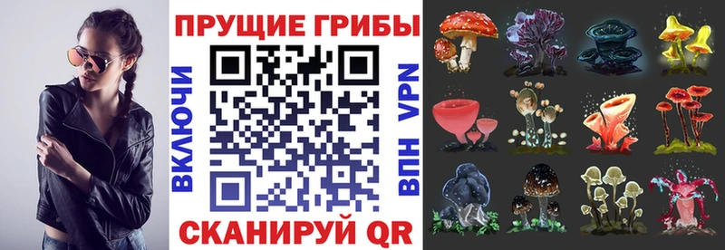 Купить где  Ейск  Галлюциногенные грибы Magic Shrooms 